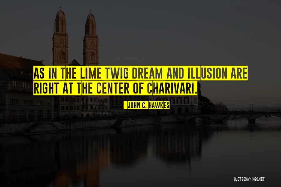 Illusion And Dream Quotes By John C. Hawkes
