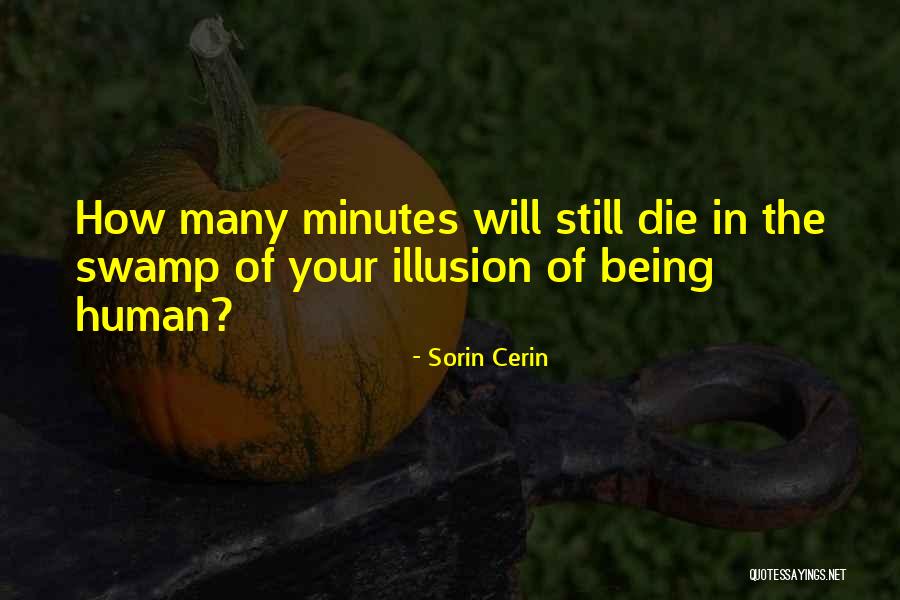 Illusion Life Quotes By Sorin Cerin Illusion Life Quotes By Sorin Cerin