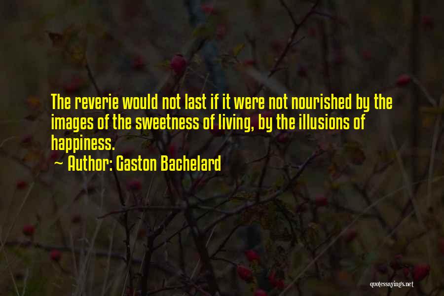 Illusions Of Happiness Quotes By Gaston Bachelard