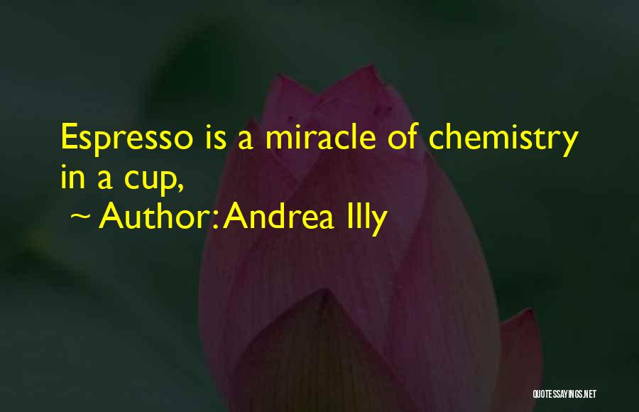 Illy Quotes By Andrea Illy