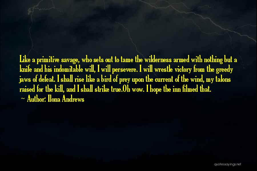 Ilona Andrews Quotes 1512834