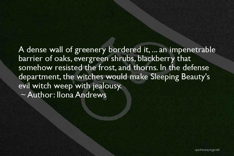 Ilona Andrews Quotes 1753647