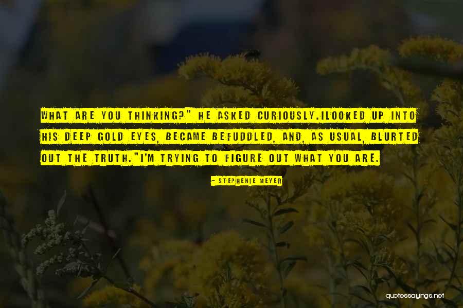 Ilooked Quotes By Stephenie Meyer Ilooked Quotes By Stephenie Meyer