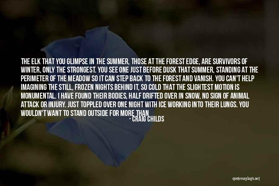 Ilovasto Quotes By Craig Childs Ilovasto Quotes By Craig Childs