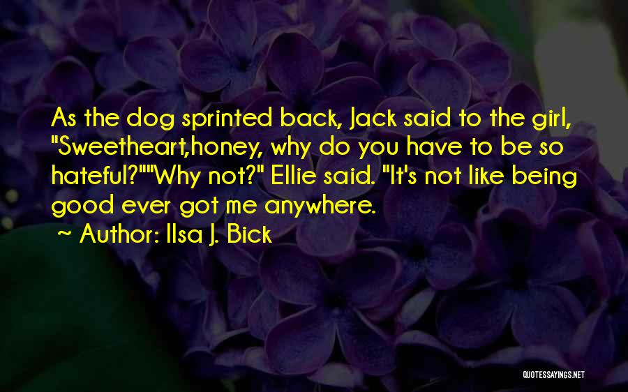 Ilsa J. Bick Quotes 378689