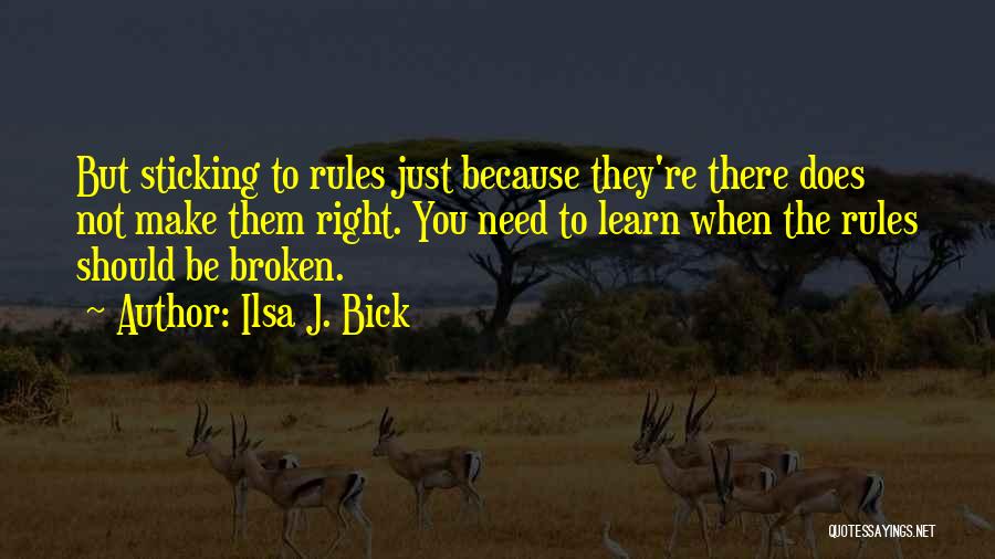 Ilsa J. Bick Quotes 500055