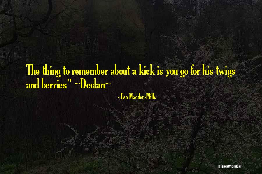 Ilsa Madden-Mills Quotes 837260 Ilsa Madden-Mills Quotes 837260