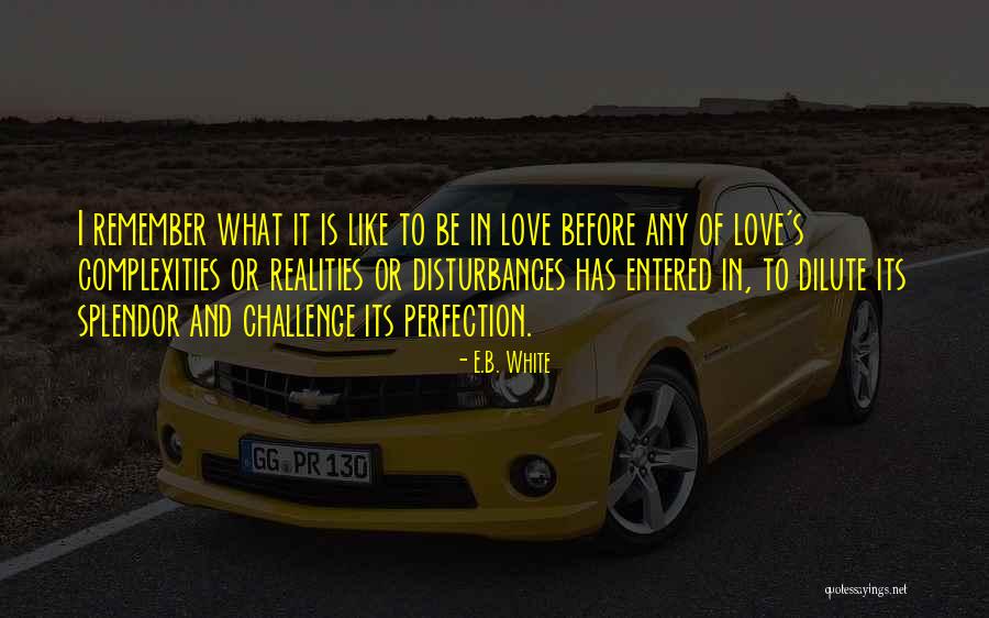 Iluminar En Quotes By E.B. White Iluminar En Quotes By E.B. White