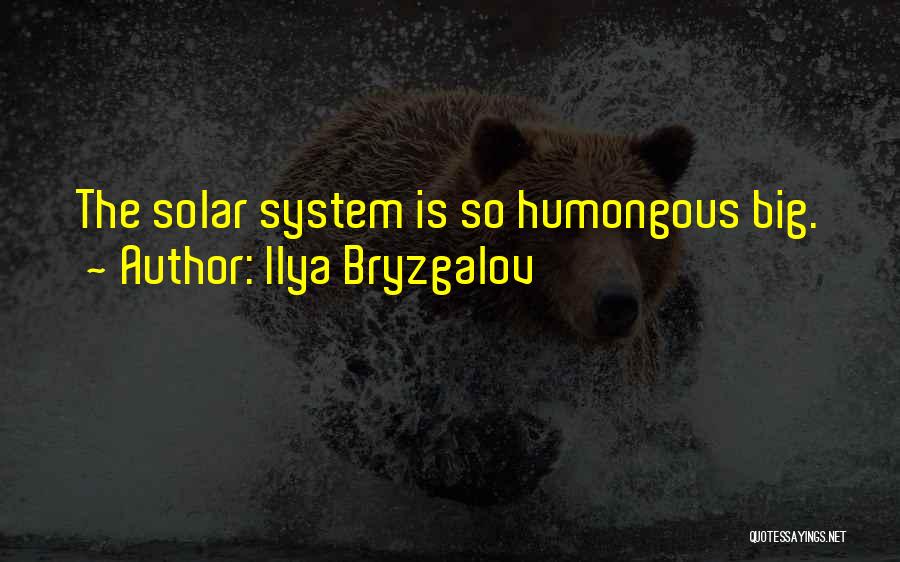 Ilya Bryzgalov Quotes 304415