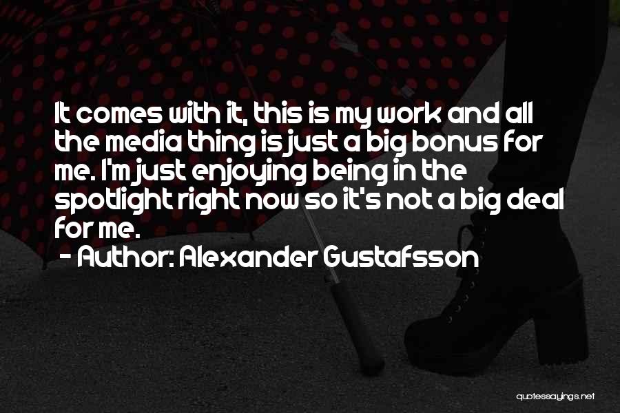 I'm A Big Deal Quotes By Alexander Gustafsson