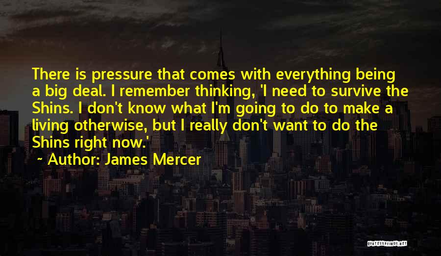 I'm A Big Deal Quotes By James Mercer