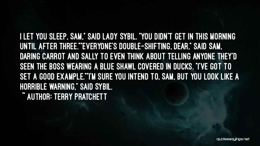 I'm A Boss Lady Quotes By Terry Pratchett