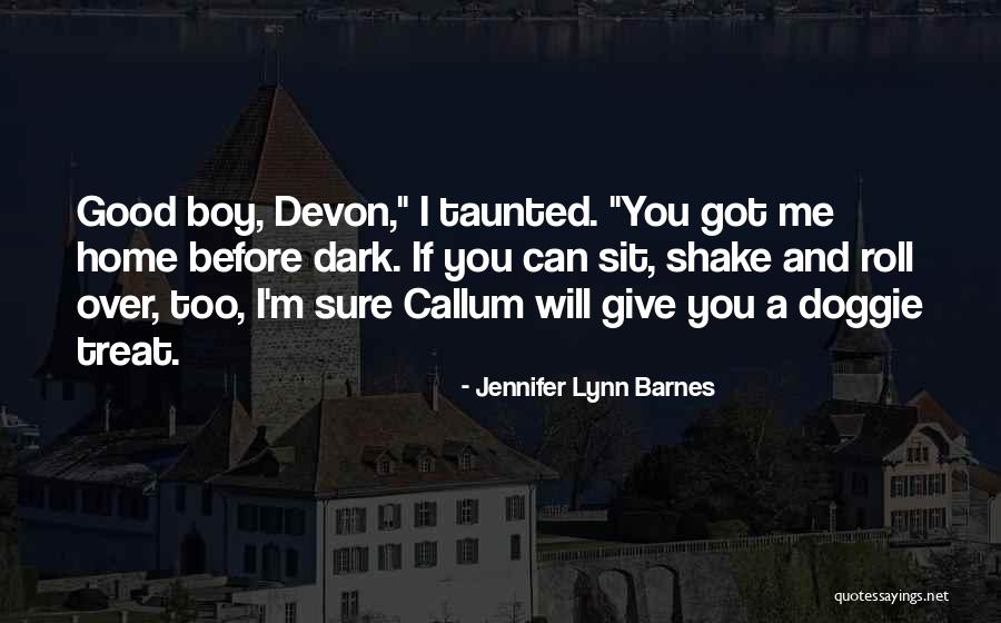 I'm A Good Boy Quotes By Jennifer Lynn Barnes