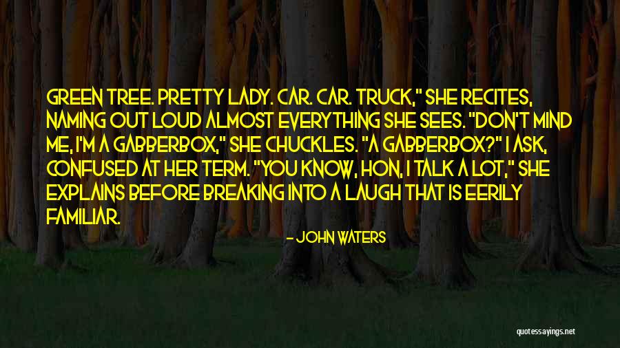 I'm A Lady Quotes By John Waters