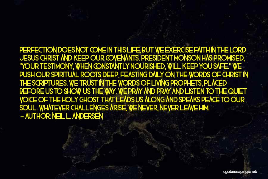 I'm A Living Testimony Quotes By Neil L. Andersen
