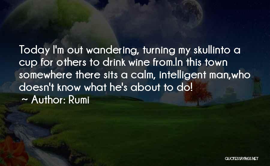 I'm A Man Quotes By Rumi