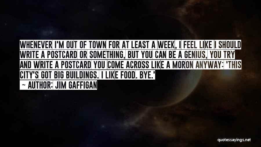 I'm A Moron Quotes By Jim Gaffigan