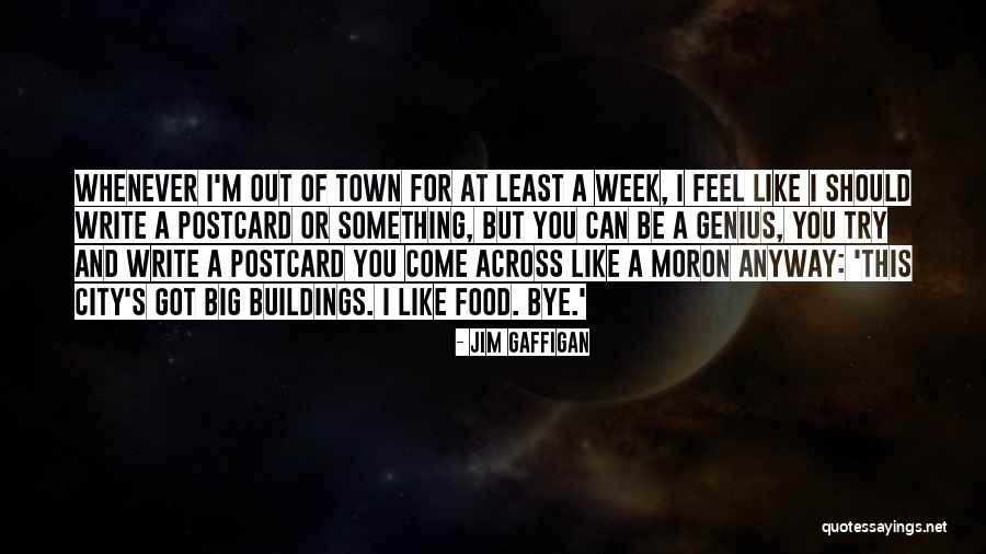 I'm A Moron Quotes By Jim Gaffigan