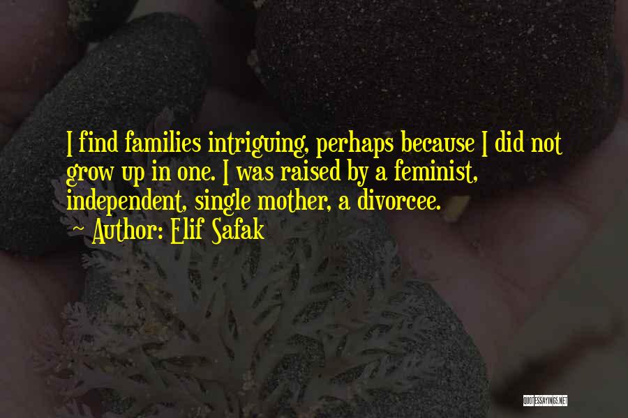 I'm A Single Mother Quotes By Elif Safak