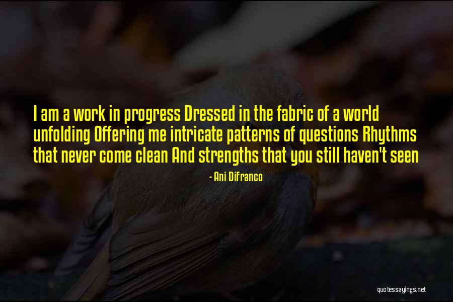 I'm A Work In Progress Quotes By Ani DiFranco