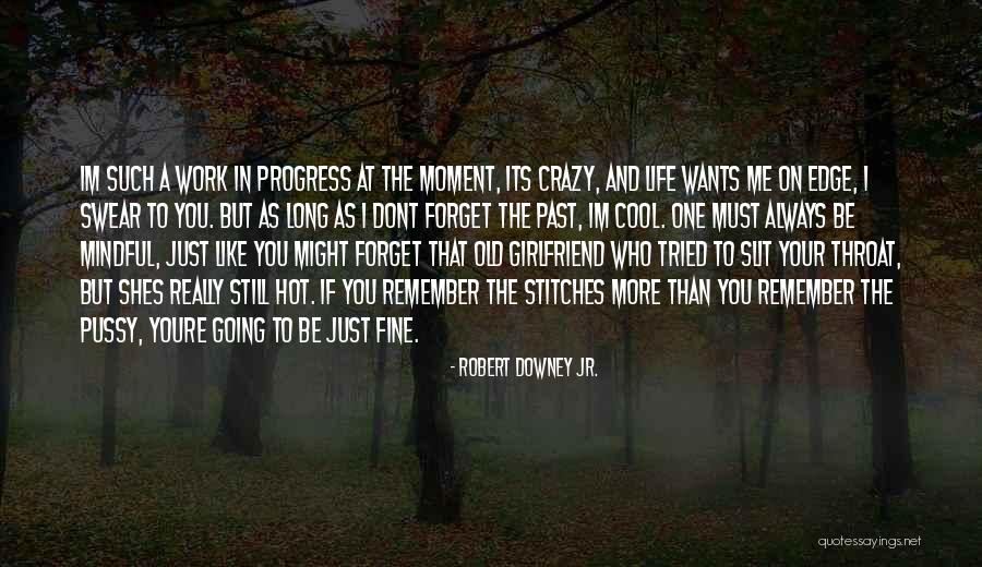 I'm A Work In Progress Quotes By Robert Downey Jr.