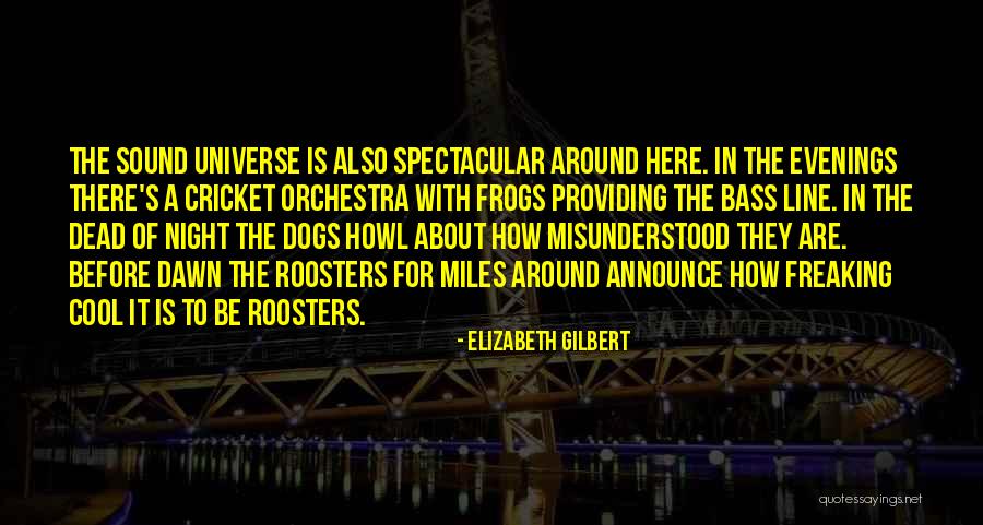 I'm All About That Bass Quotes By Elizabeth Gilbert I'm All About That Bass Quotes By Elizabeth Gilbert