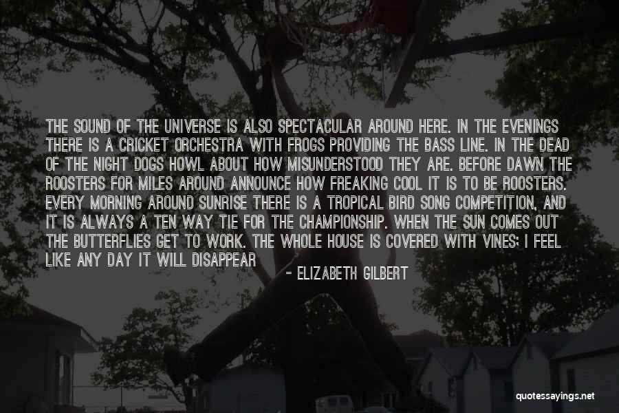 I'm All About That Bass Quotes By Elizabeth Gilbert I'm All About That Bass Quotes By Elizabeth Gilbert
