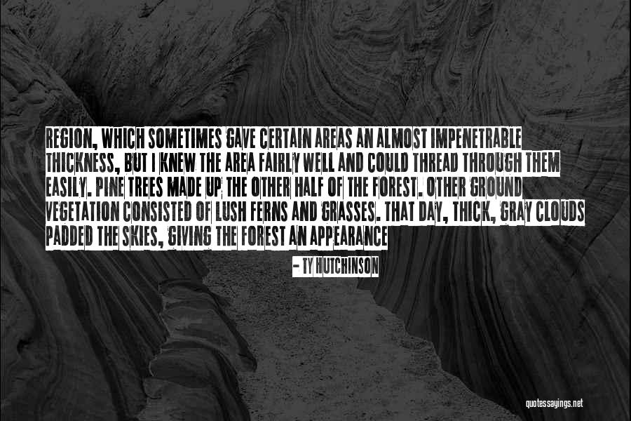 I'm Almost Giving Up Quotes By Ty Hutchinson I'm Almost Giving Up Quotes By Ty Hutchinson