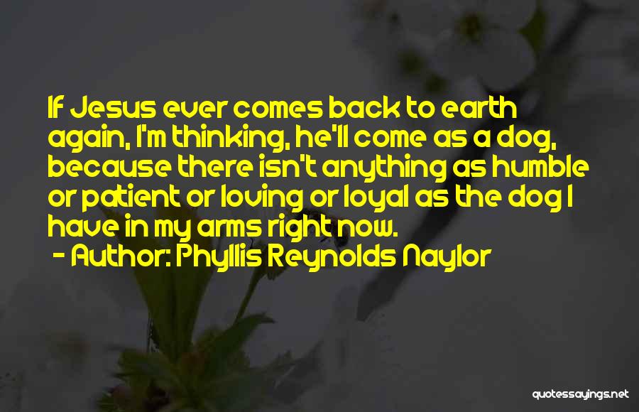 I'm Back Again Quotes By Phyllis Reynolds Naylor