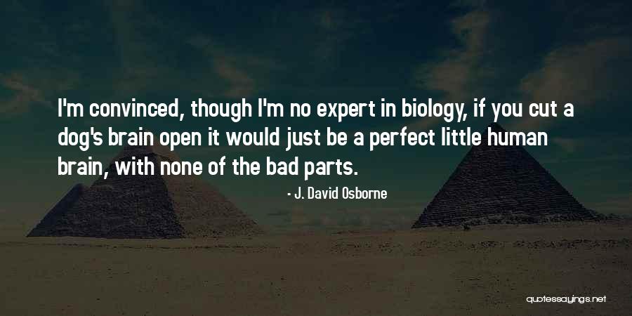 I'm Bad Quotes By J. David Osborne