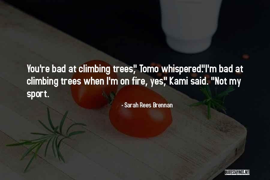 I'm Bad Quotes By Sarah Rees Brennan