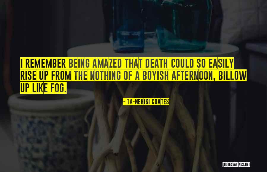 I'm Boyish Quotes By Ta-Nehisi Coates I'm Boyish Quotes By Ta-Nehisi Coates