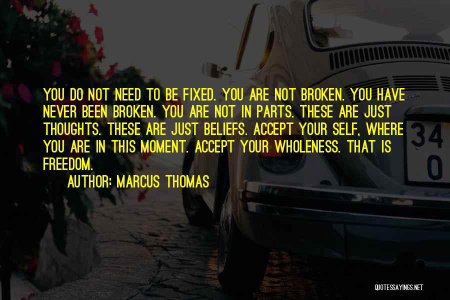 I'm Broken And Can't Be Fixed Quotes By Marcus Thomas
