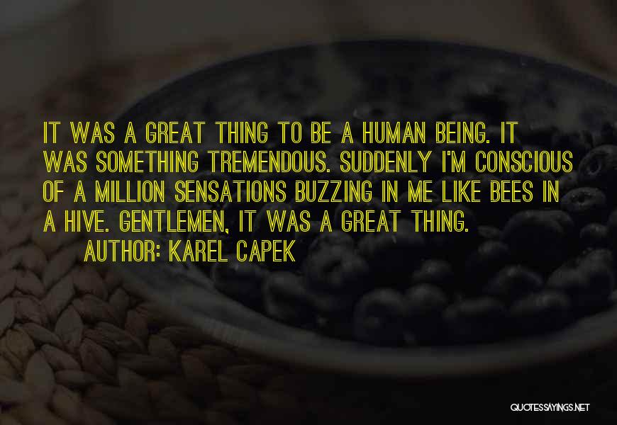 I'm Buzzing Quotes By Karel Capek