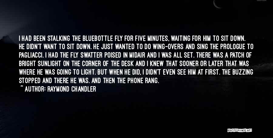 I'm Buzzing Quotes By Raymond Chandler