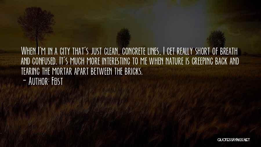 I'm Clean Quotes By Feist