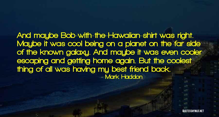 I'm Cooler Than You Quotes By Mark Haddon