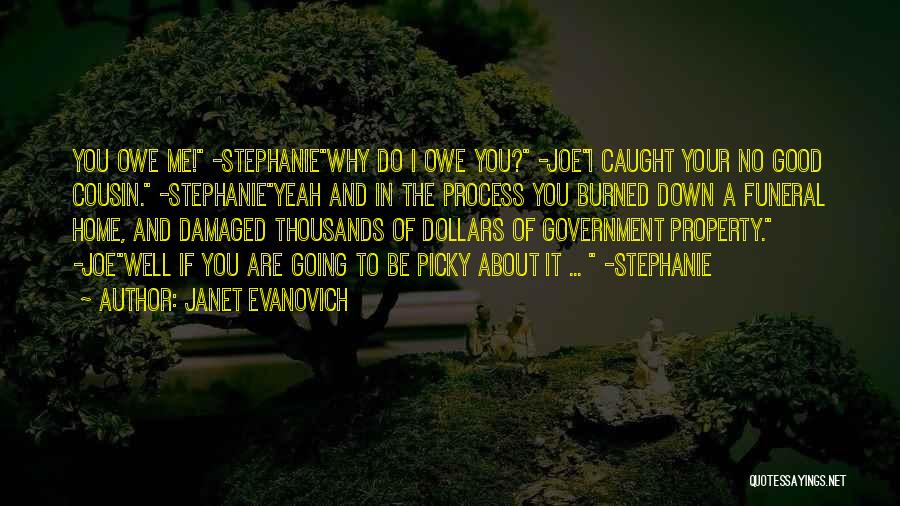 I'm Damaged Quotes By Janet Evanovich