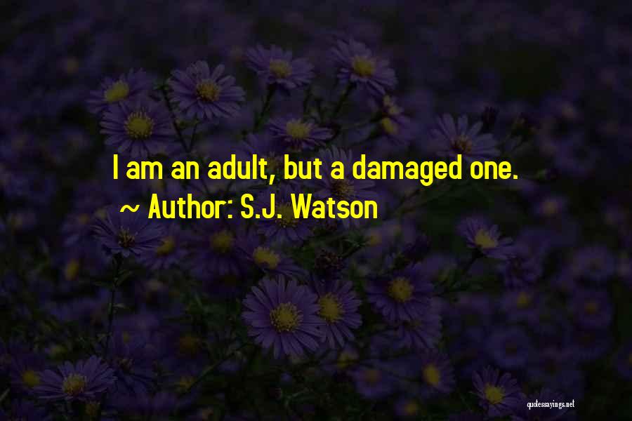 I'm Damaged Quotes By S.J. Watson