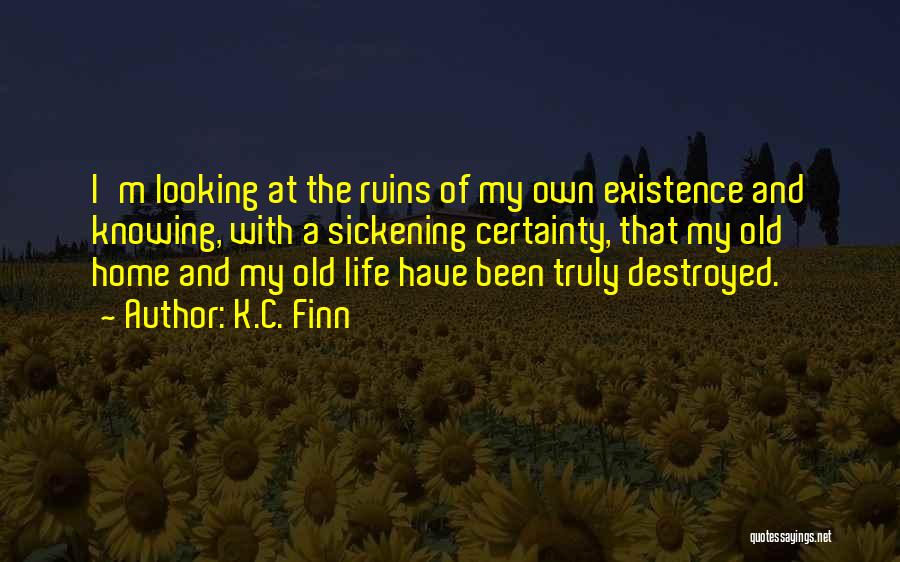 I'm Destroyed Quotes By K.C. Finn