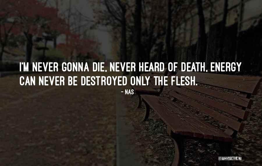 I'm Destroyed Quotes By Nas I'm Destroyed Quotes By Nas