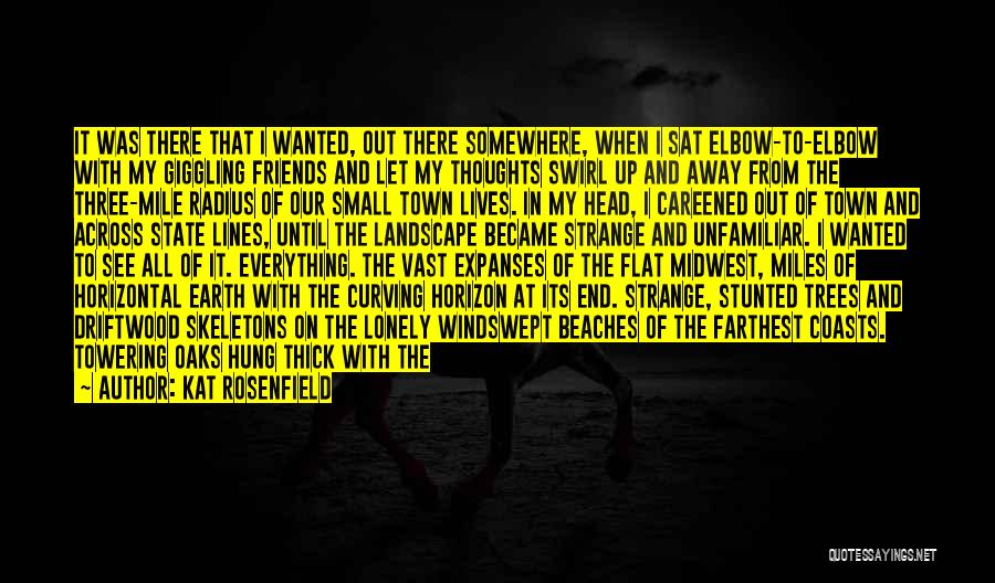 I'm Disappearing Quotes By Kat Rosenfield