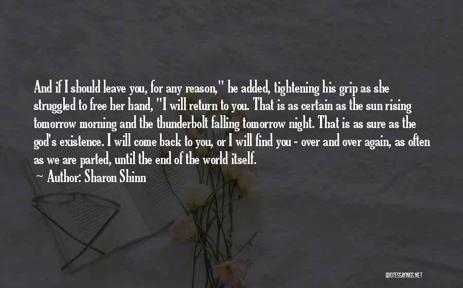 I'm Falling For You Again Quotes By Sharon Shinn