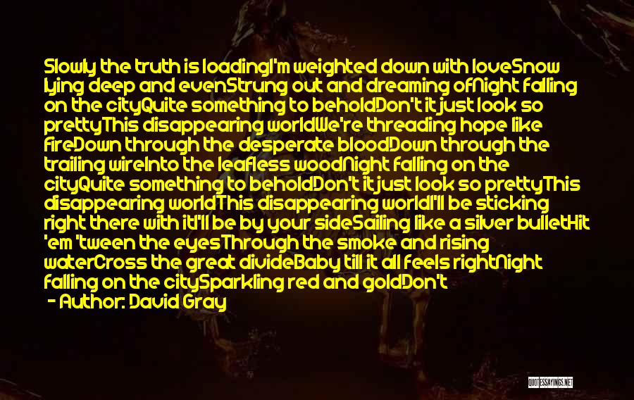 I'm Falling For Your Eyes Quotes By David Gray