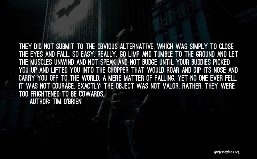 I'm Falling For Your Eyes Quotes By Tim O'Brien