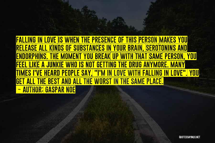 I'm Falling In Love Quotes By Gaspar Noe