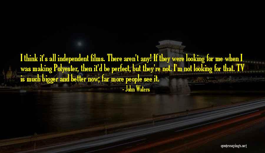 I'm Far Perfect Quotes By John Waters