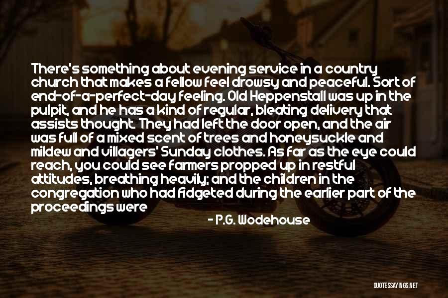 I'm Far Perfect Quotes By P.G. Wodehouse