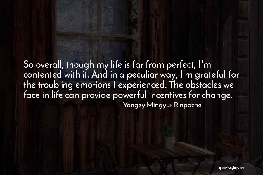 I'm Far Perfect Quotes By Yongey Mingyur Rinpoche