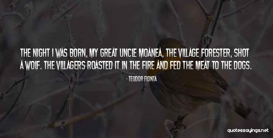 I'm Fed Up Of My Life Quotes By Teodor Flonta